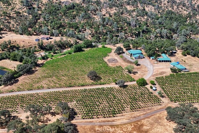 7551 Hunters Valley Rd, Mariposa, CA 95338 - photo 52