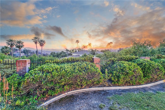 6735 Calais Ct, Riverside, CA 92506 - view of yard