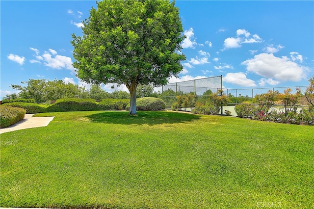 6735 Calais Ct, Riverside, CA 92506 - view of yard