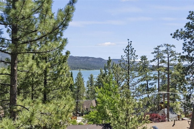 40258 Narrow Ln, Big Bear Lake, CA 92315 - photo 6