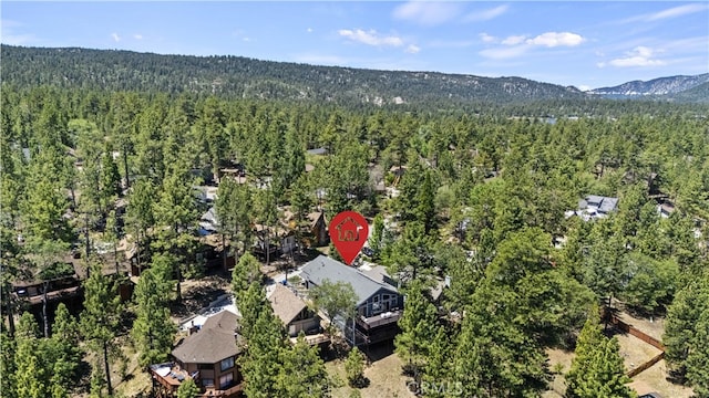 40258 Narrow Ln, Big Bear Lake, CA 92315 - photo 41