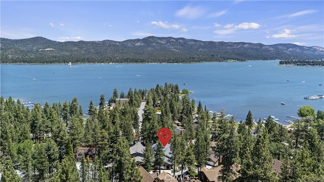 40258 Narrow Ln, Big Bear Lake, CA 92315 - photo 7