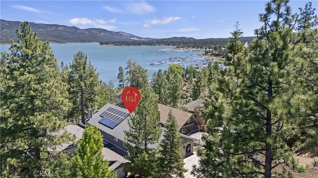 40258 Narrow Ln, Big Bear Lake, CA 92315 - photo 2