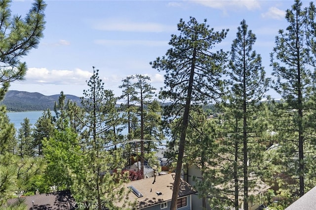 40258 Narrow Ln, Big Bear Lake, CA 92315 - photo 24