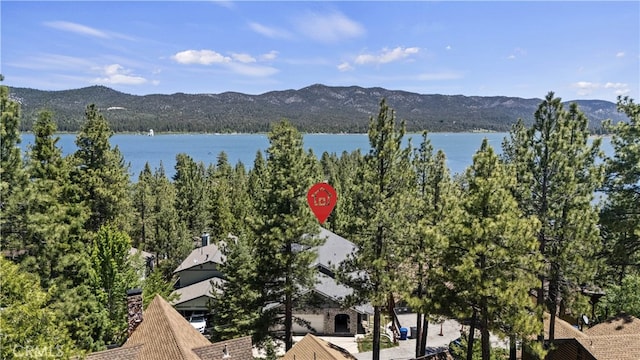 40258 Narrow Ln, Big Bear Lake, CA 92315 - photo 21