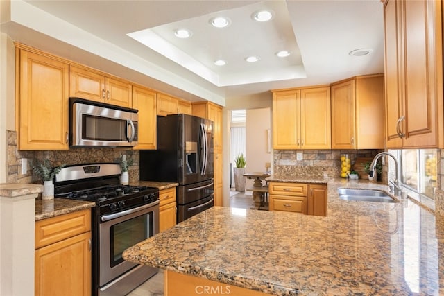 13100 Red Corral Dr, Corona, CA 92883 - kitchen with appliances with stainless steel finishes, a tray ceiling, tasteful backsplash, recessed lighting, and a peninsula
