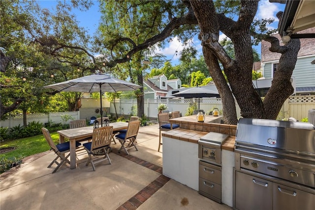 365 N Ivy Ave, Monrovia, CA 91016 - fenced backyard featuring outdoor dining area, a patio, and an outdoor kitchen