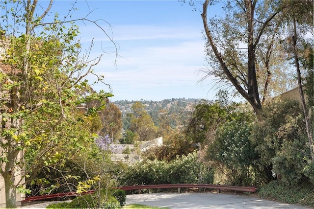 4210 Via Arbolada Unit 105, Los Angeles, CA 90042 - view of yard