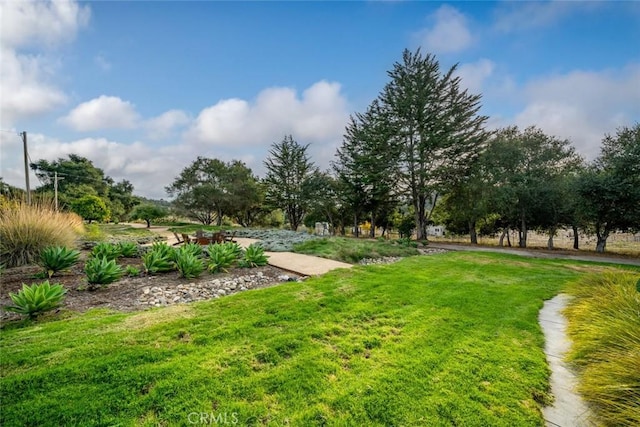1186 Ramblin Rose Way, Arroyo Grande, CA 93420 - view of grassy yard