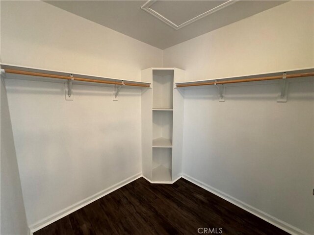 57725 Ramsey Rd, Anza, CA 92539 - photo 29