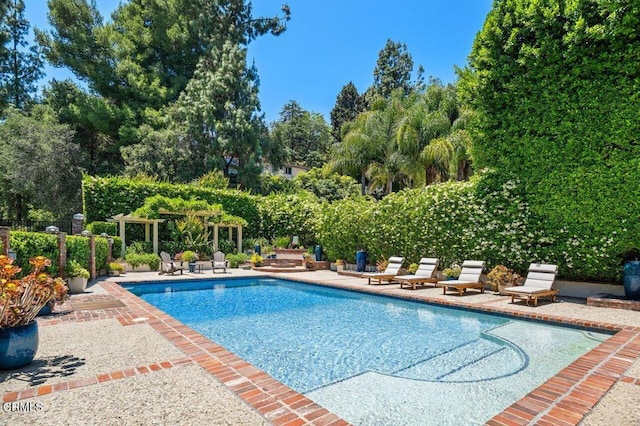 320 N San Rafael Ave, Pasadena, CA 91105 - view of swimming pool featuring a patio area and view of scattered trees