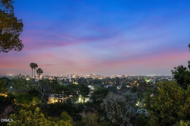 320 N San Rafael Ave, Pasadena, CA 91105 - city view