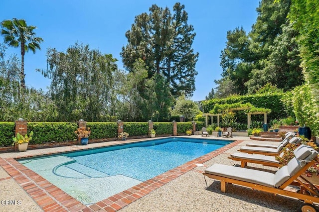 320 N San Rafael Ave, Pasadena, CA 91105 - view of swimming pool with a patio area and view of scattered trees