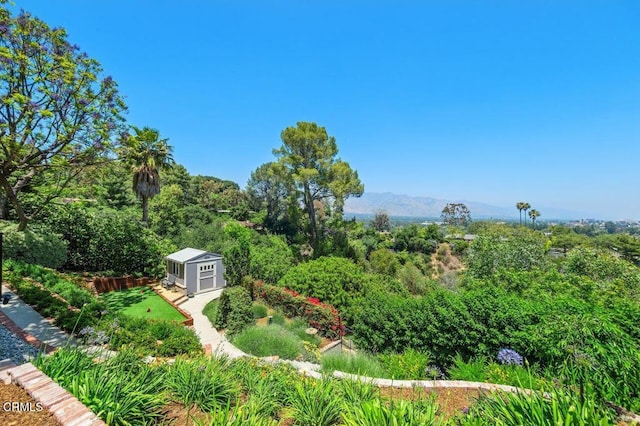 320 N San Rafael Ave, Pasadena, CA 91105 - view of yard with a shed