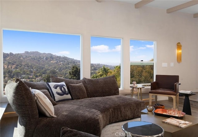 3233 Tareco Dr, Los Angeles, CA 90068 - living area featuring wood finished floors, a mountain view, and beamed ceiling