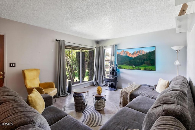 272 E 69th St, Long Beach, CA 90805 - living area featuring wood finished floors and a textured ceiling