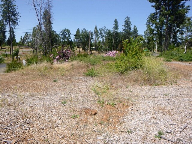 13566 Wichita Dr, Magalia, CA 95954 - photo 9