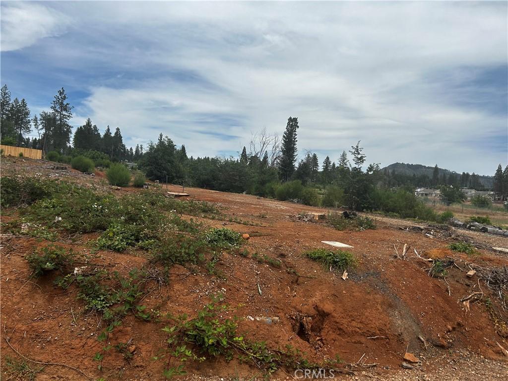 1561 Adams Rd, Paradise, CA 95969 - photo 2