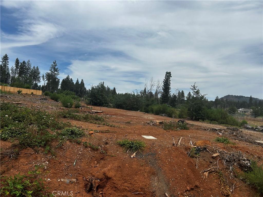 1561 Adams Rd, Paradise, CA 95969 - photo 3