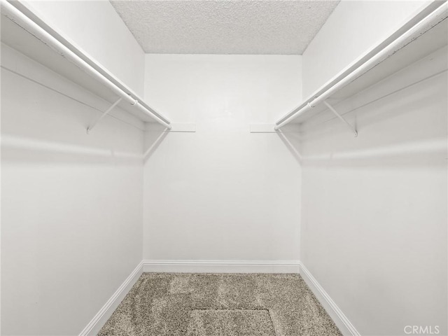 1263 Bundy Ave, Clovis, CA 93611 - spacious closet featuring carpet floors
