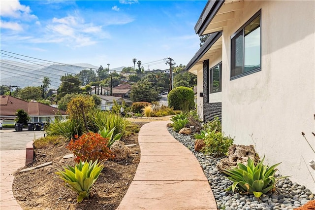2414 Las Positas Rd, Glendale, CA 91208 - view of yard