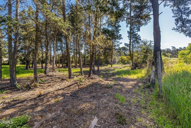 32875 Simpson Ln, Fort Bragg, CA 95437 - photo 8