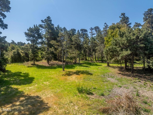 32875 Simpson Ln, Fort Bragg, CA 95437 - photo 3