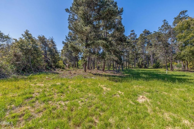 32875 Simpson Ln, Fort Bragg, CA 95437 - photo 7