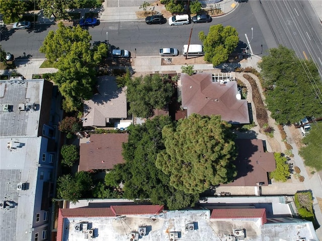 243 N Verdugo Rd, Glendale, CA 91206 - bird's eye view