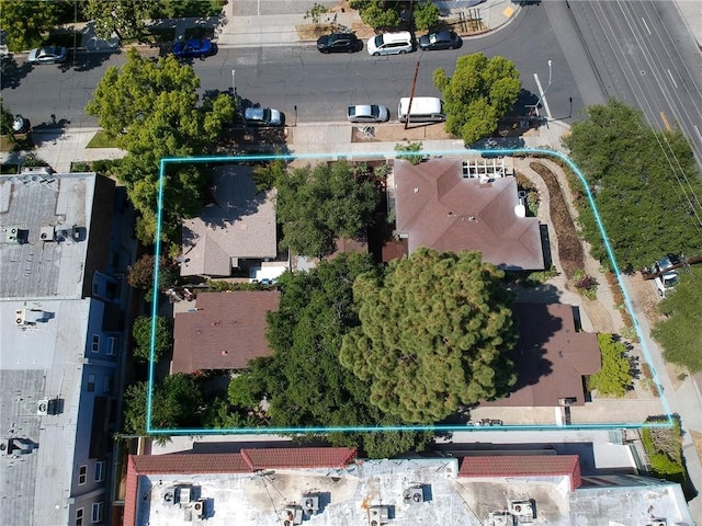 243 N Verdugo Rd, Glendale, CA 91206 - view of property location with property boundaries highlighted