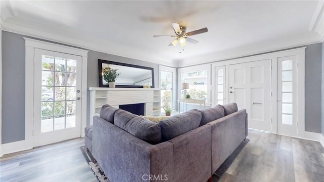 243 N Verdugo Rd, Glendale, CA 91206 - living room with crown molding, wood finished floors, ceiling fan, and a fireplace
