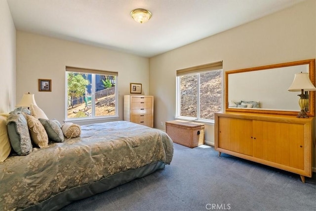 8412 Alta Vista Ave, Atascadero, CA 93422 - bedroom with carpet floors