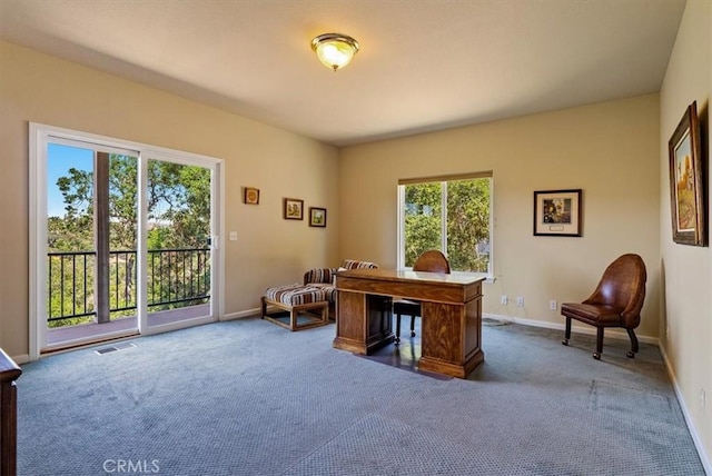 8412 Alta Vista Ave, Atascadero, CA 93422 - office space with carpet flooring and healthy amount of natural light
