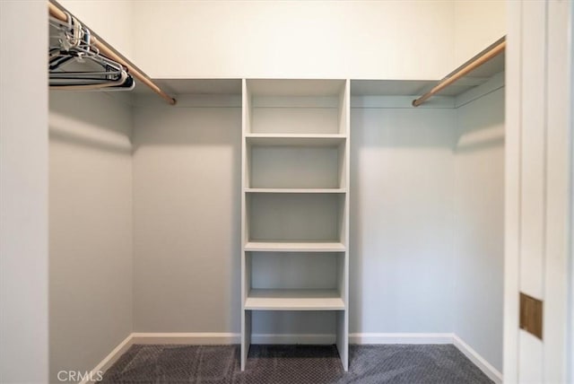 8412 Alta Vista Ave, Atascadero, CA 93422 - walk in closet with carpet floors