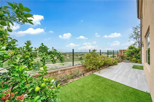 134 Falcon Rdg, Irvine, CA 92618 - photo 30