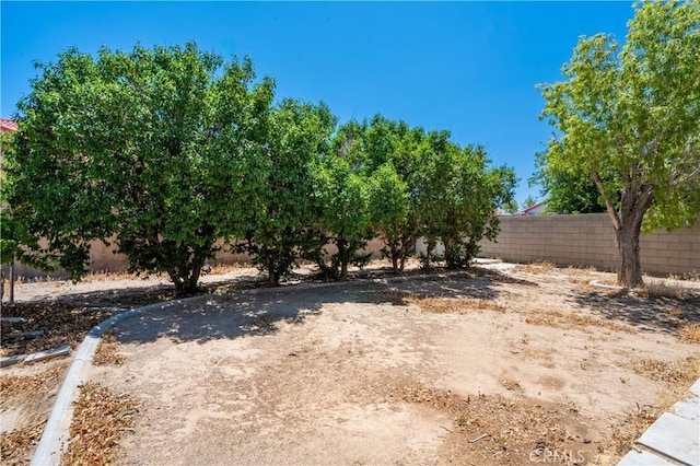 44738 Foxboro Ct, Lancaster, CA 93535 - view of yard