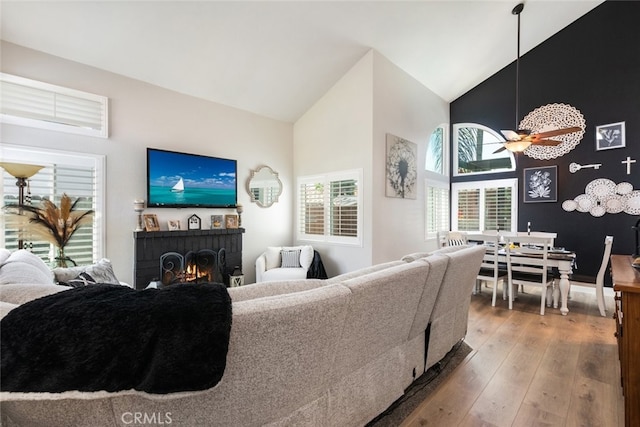 16508 Nectarine Way, Lake Elsinore, CA 92530 - living area featuring hardwood / wood-style flooring, a fireplace, plenty of natural light, and high vaulted ceiling