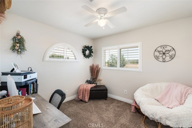 16508 Nectarine Way, Lake Elsinore, CA 92530 - carpeted office featuring a ceiling fan and baseboards