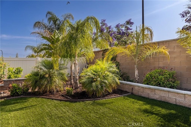 10963 Clementine Way, Loma Linda, CA 92354 - view of fenced backyard