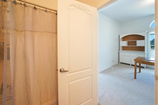 36748 Parrot Mountain Rd, Ranchita, CA 92066 - full bathroom with a shower with shower curtain