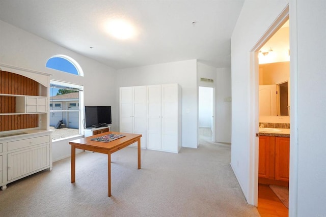 36748 Parrot Mountain Rd, Ranchita, CA 92066 - living area featuring light carpet