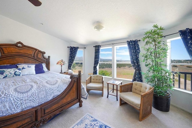 36748 Parrot Mountain Rd, Ranchita, CA 92066 - bedroom featuring carpet