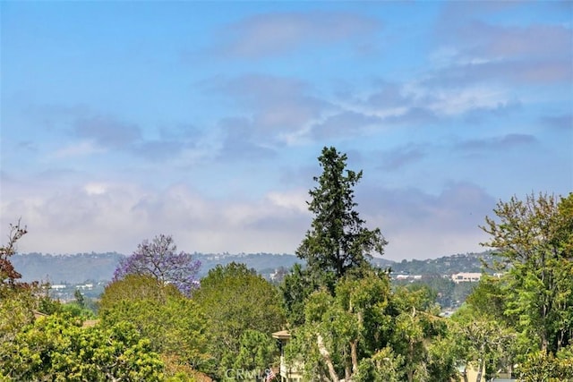 856 Ronda Mendoza Unit P, Laguna Woods, CA 92637 - view of mountain backdrop featuring a heavily wooded area