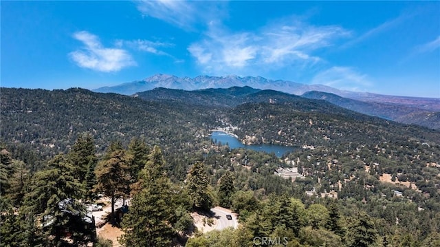 25286 N Rd, Twin Peaks, CA 92391 - mountain view featuring a forest and a large body of water