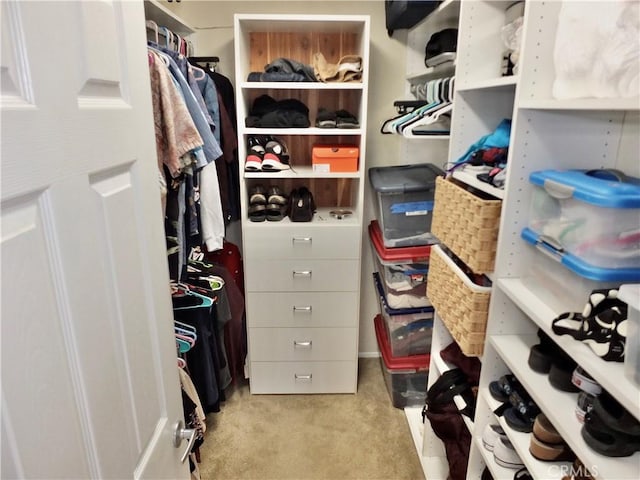 10041 Kaylor Ave, Los Alamitos, CA 90720 - photo 35