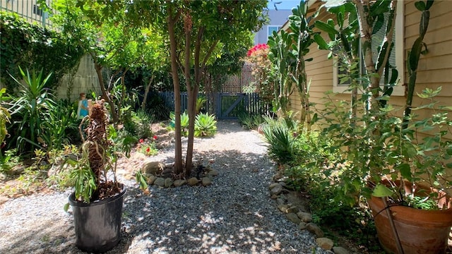 241 N Verdugo Rd, Glendale, CA 91206 - view of yard
