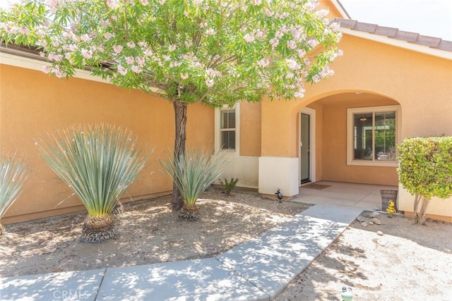 34085 Agaliya Ct, Lake Elsinore, CA 92532 - photo 8