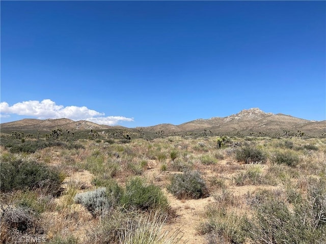 15310023 Kelso Valley Rd, Weldon, CA 93283