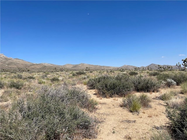 15310023 Kelso Valley Rd, Weldon, CA 93283