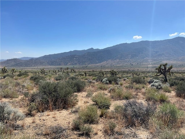15310023 Kelso Valley Rd, Weldon, CA 93283